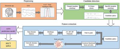 An improved BECT spike detection method with functional brain network features based on PLV